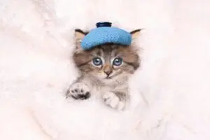 英語の お大事に 基本表現3つ 気遣いが伝わる一言フレーズ集 Dmm英会話ブログ