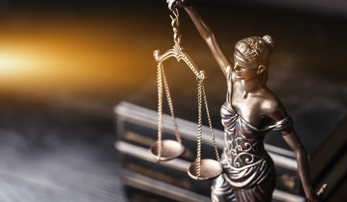 用英语怎么说】睁一只眼闭一只眼、宽限期、附属细则等法律用语| Engoo 线上英语