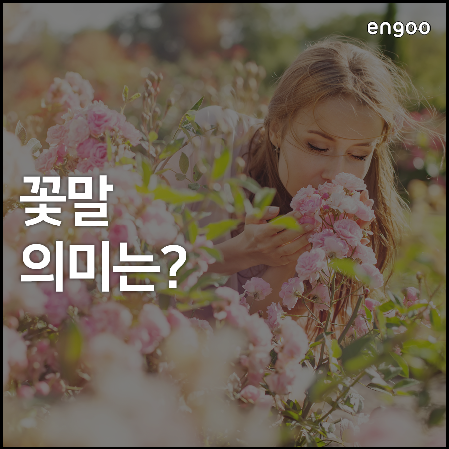꽃 선물, 꽃말 영어로 알아보고 선물하자! | Engoo 블로그