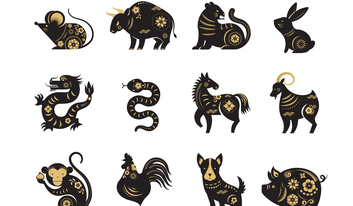 主題單字】迎接蛇年！「我屬蛇」英文怎麼說？透過十二生肖學英文單字片語（上） | Engoo線上英文