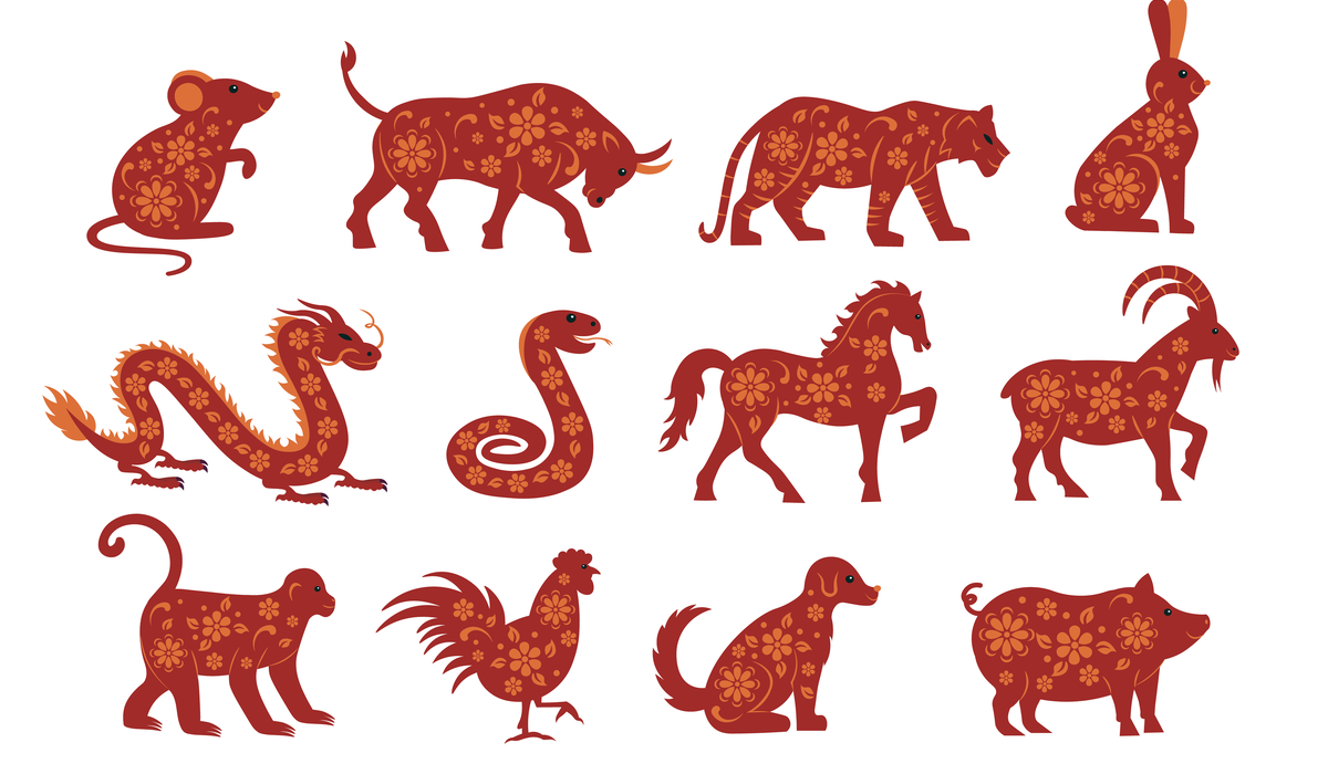 主題單字】迎接蛇年！「我屬蛇」英文怎麼說？透過十二生肖學英文單字片語（下） | Engoo線上英文