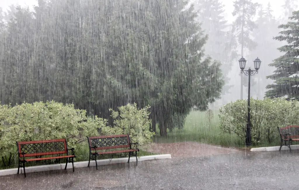 heavy rain in the park