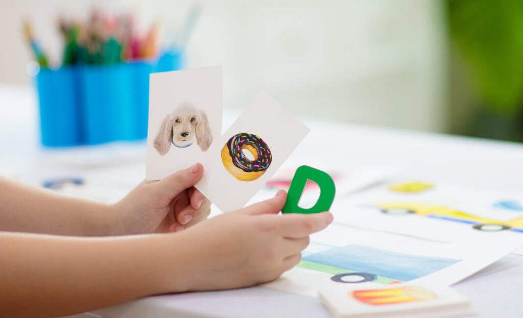 A child holding flashcards with pictures of things starting with the letter 'D'
Photo by: FamVeld