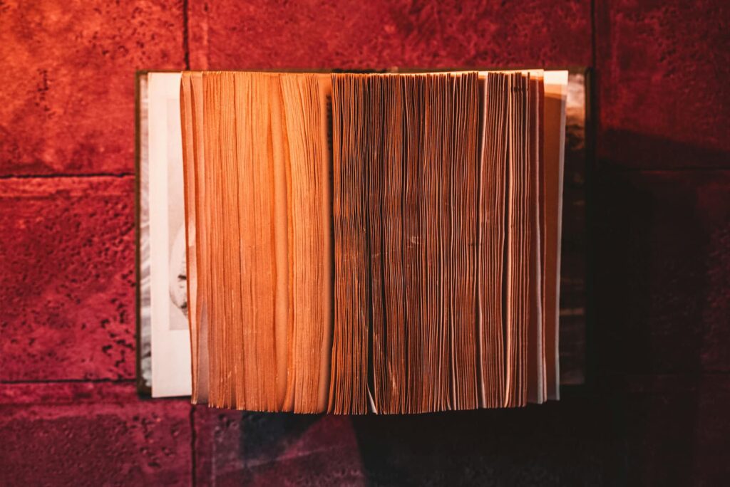An old book against a red backdrop
- photo by Stanislav Kondratiev -