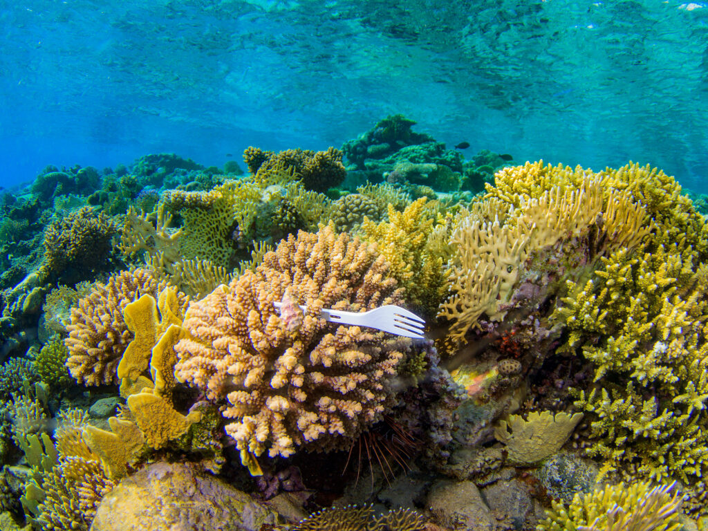 A plastic fork stuck in coral under the sea