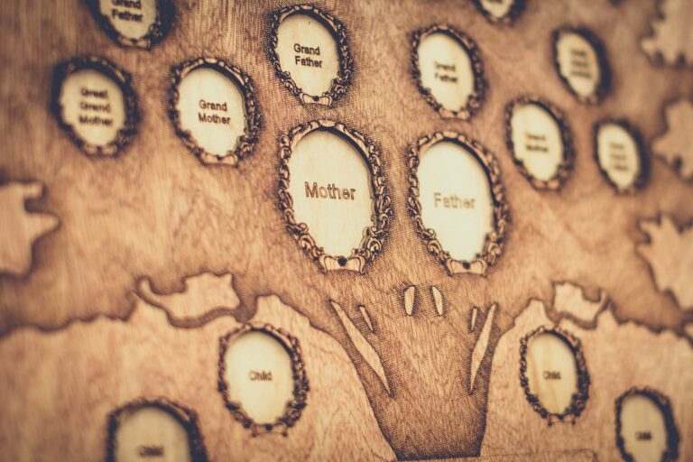 Idioms and Expressions Related to Trees | Engoo Blog