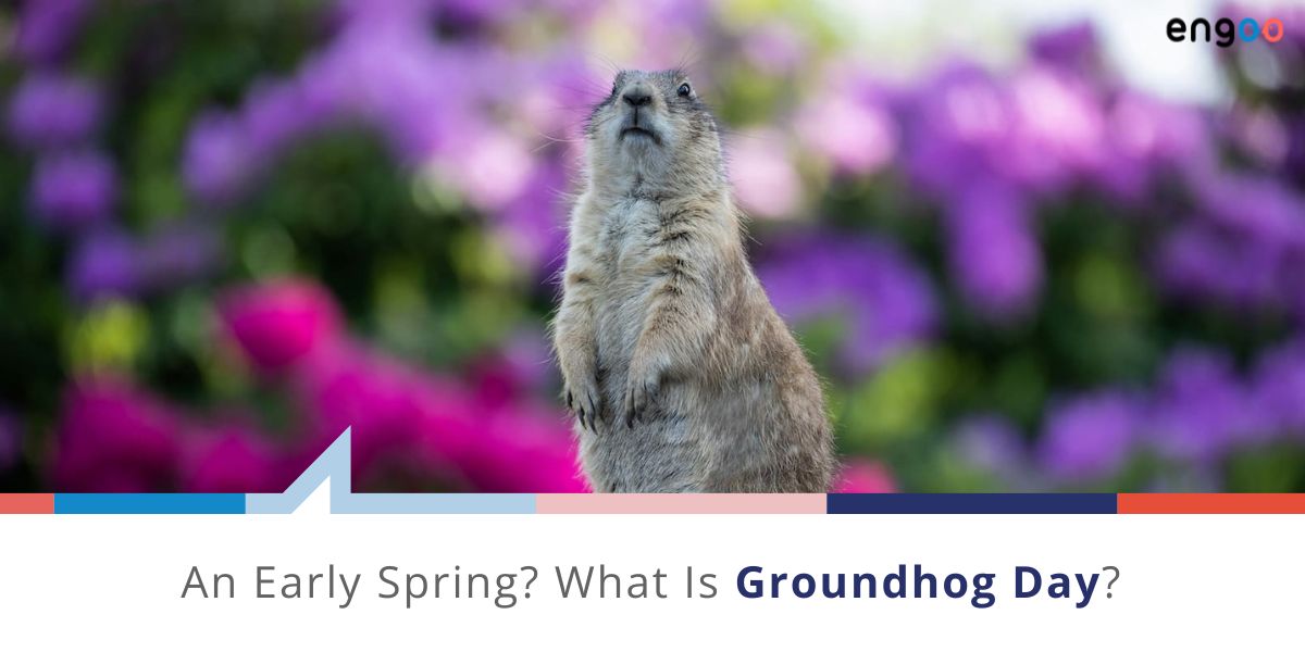 An Early Spring? What Is Groundhog Day? | Engoo Blog