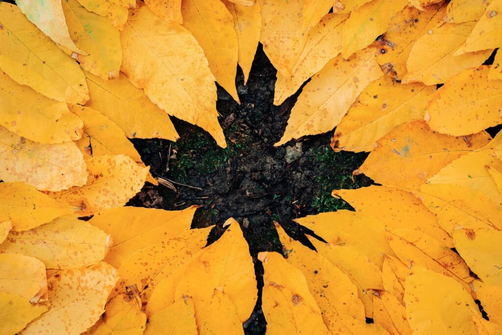 English Idioms for Autumn