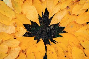 English Idioms for Autumn